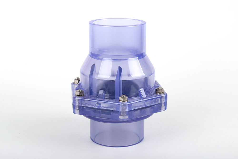 多文镇透明翻板式止回阀